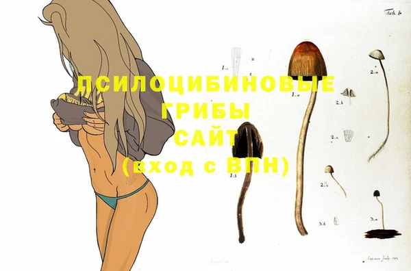 меф VHQ Няндома