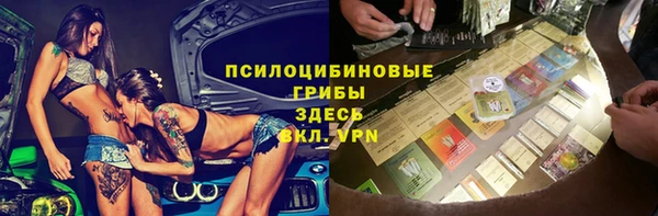 сатива Алексин